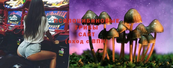 кокаин Заводоуковск