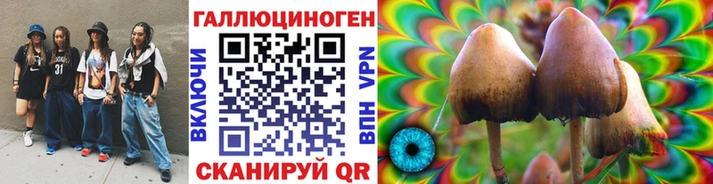 Псилоцибиновые грибы Psilocybine cubensis  Купить где  Комсомольск 